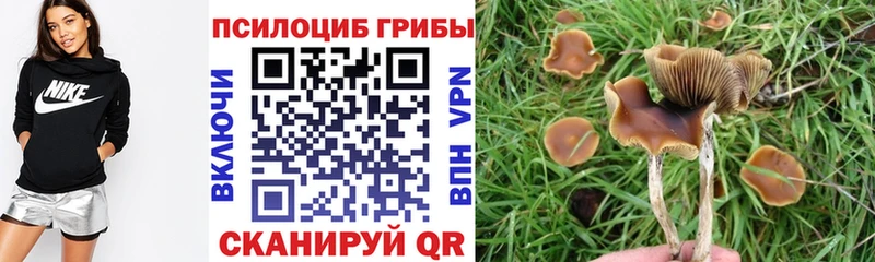 Купить закладки  Гаврилов-Ям  Галлюциногенные грибы прущие грибы 